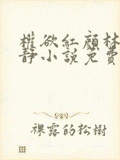 权欲红颜林凡宁静小说免费阅读