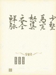 鲜衣怒马少年郎脉全集完整版免费