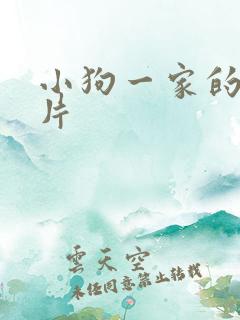 小狗一家的动画片