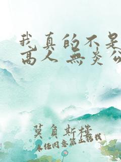 我真的不是绝世高人 无炎公子