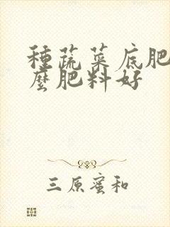 种蔬菜底肥用什么肥料好