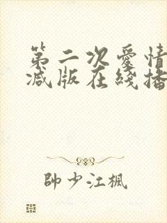 第二次爱情无删减版在线播放