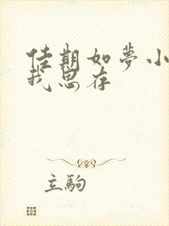 佳期如梦小说匪我思存