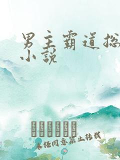 男主霸道总裁的小说