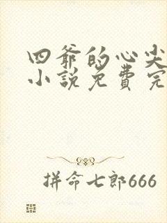 四爷的心尖宠妃小说免费完整版txt