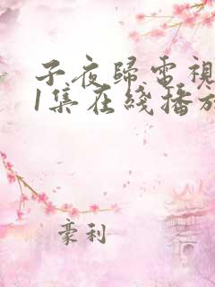子夜归电视剧31集在线播放