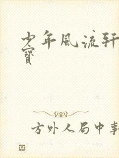 少年风流轩辕大宝