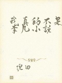 我真的不是高手李凡小说