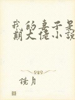 我的妻子是大乘期大佬小说完整版本