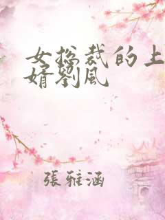 女总裁的上门龙婿刘风
