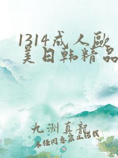 1314成人欧美日韩精品