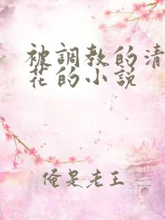 被调教的清纯校花的小说