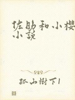 佐助和小樱同人小说