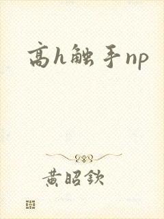 高h触手np
