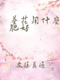 养花用什么复合肥好