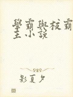 学霸与校霸双男主小说