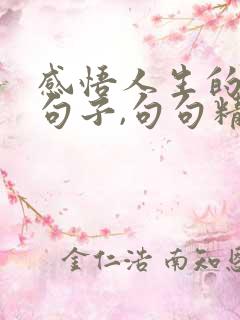 感悟人生的哲理句子,句句精辟
