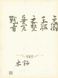 战争之王免费观看完整版国语高清有字幕