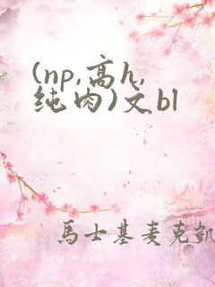 (np,高h,纯肉)文bl