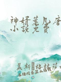 神婿叶凡唐若雪小说免费