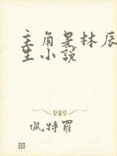 主角是林辰的重生小说