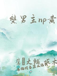 双男主np黄文