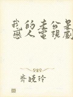 我的老公是她的恋人电视剧免费观看