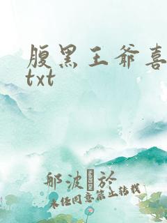 腹黑王爷喜当爹txt