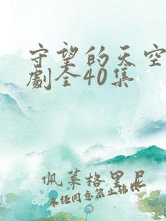 守望的天空电视剧全40集
