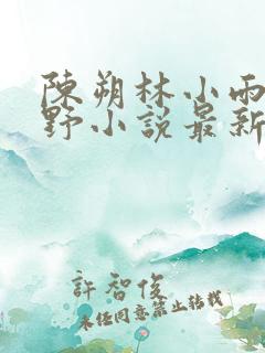 陈朔林小雨陆云野小说最新章节