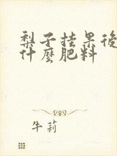 梨子挂果后要施什么肥料