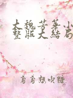 大魏芳华小说完整版大结局