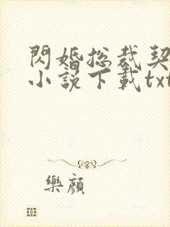 闪婚总裁契约妻小说下载txt