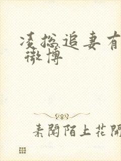 凌总追妻有点甜 微博