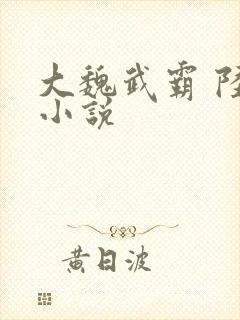 大魏武霸 陆泽小说