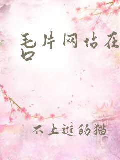 毛片网站在线入口
