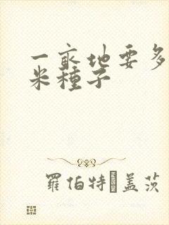 一亩地要多少玉米种子
