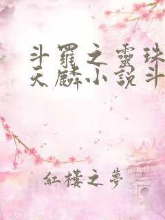 斗罗之灵珠神剑天麟小说斗