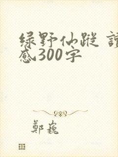 绿野仙踪 读后感300字