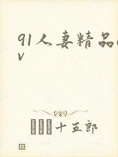 91人妻精品av