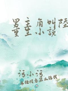 男主角叫陆天的重生小说