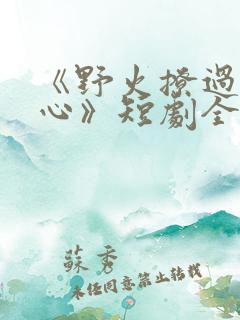 《野火撩过姐姐心》短剧全集免费观