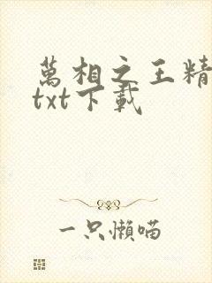 万相之王精校版txt下载