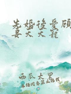 先婚后爱顾少娇妻天天宠