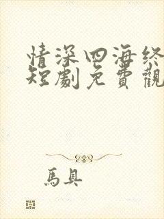 情深四海终成空短剧免费观看