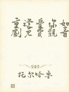 重逢爱你如昨短剧免费观看
