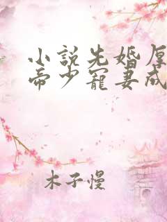 小说先婚厚爱:帝少宠妻成瘾