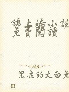 锦上娇小说全文免费阅读