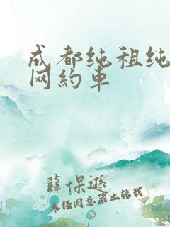 成都纯租纯电动网约车