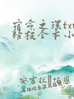 宿命之环txt精校全本小说